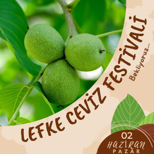 14. CEVİZ FESTİVALİ