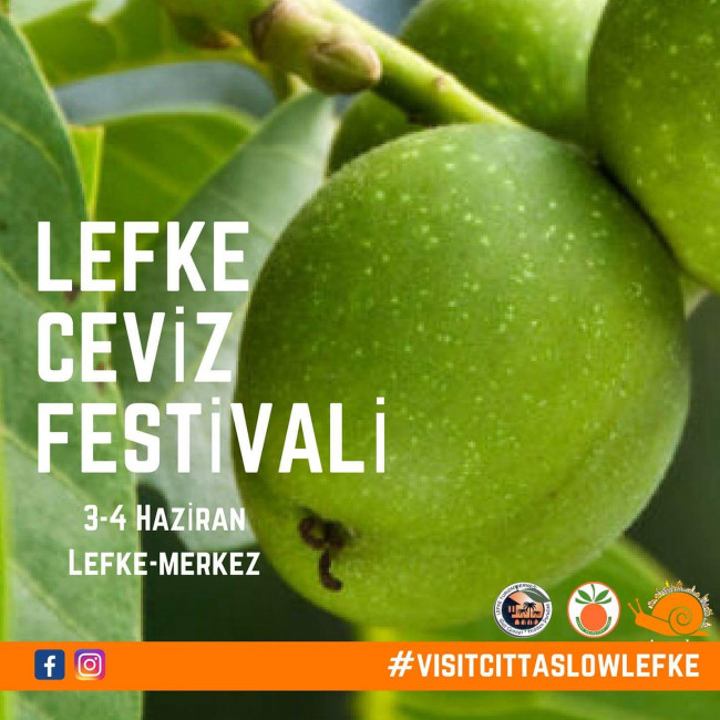 LEFKE CEVİZ FESTİVALİ